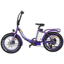 48V500W Rear Drive Motor Folding Electric Bicycle with 20ah Battery
